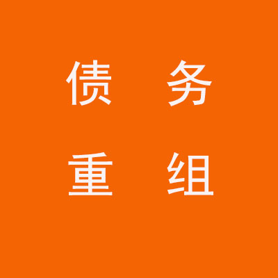 卢龙个人债务重组优化